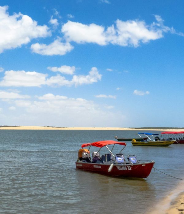 amarilio-dantas-t1egwTgqJug-unsplash