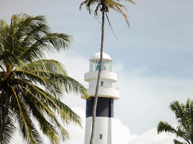 leo-castro-ib7upg1acq0-unsplash