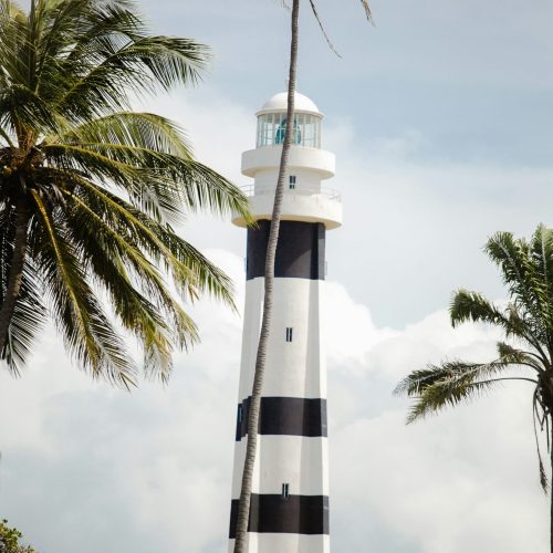 leo-castro-ib7upg1acq0-unsplash