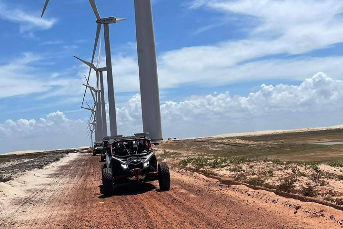 photo_5030921045116301137_y